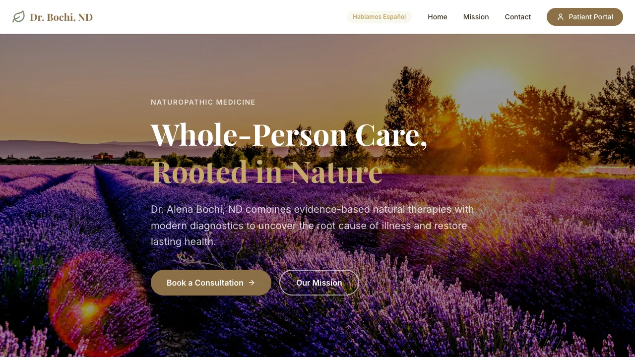 Dr. Bochi screenshot